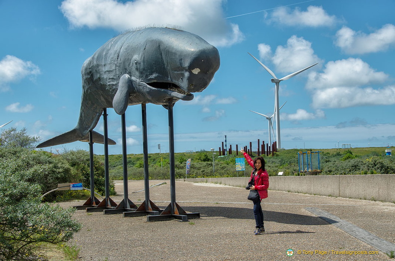 neeltje-jans-deltapark_AJP1080.jpg
